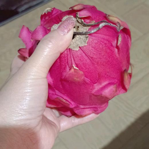 珍珍