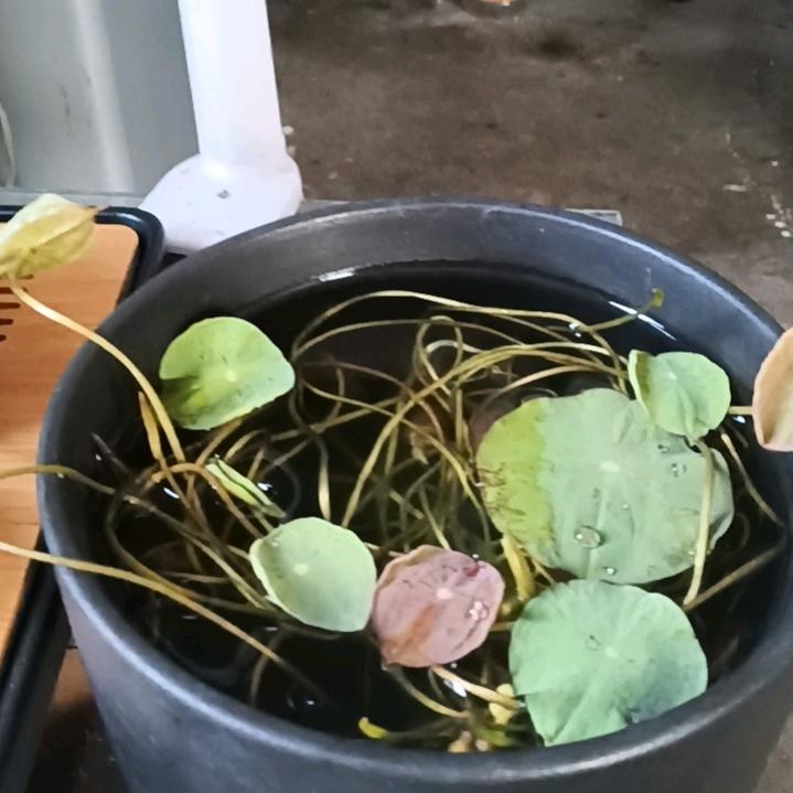 在外奔波的人