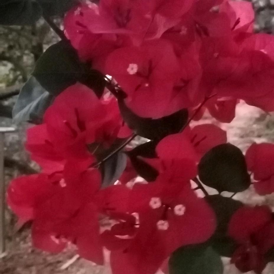 对方正在输入中