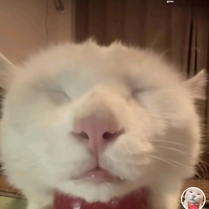 阿锅