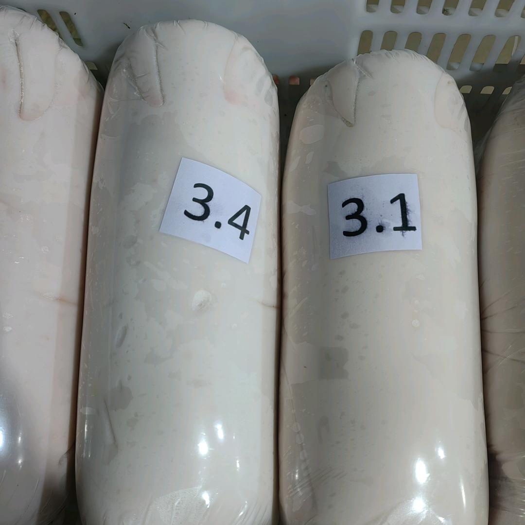 岭南乳猪批发