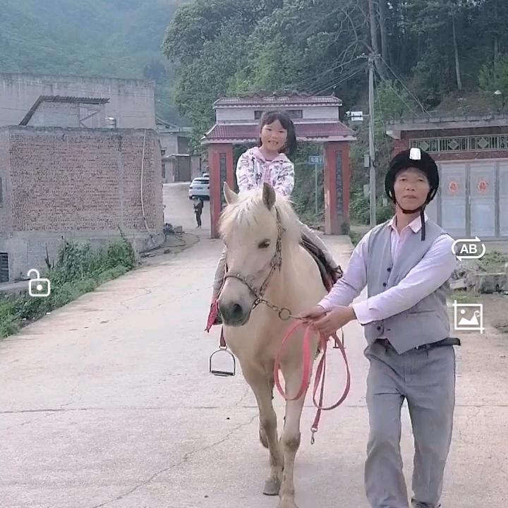 牛马市场如哥（训马师）