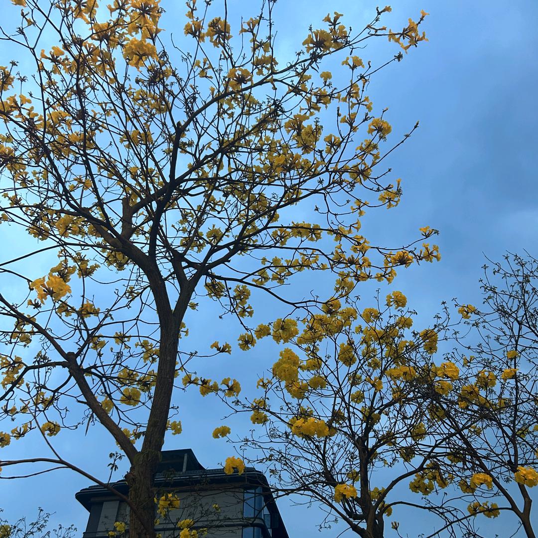 圈圈点点