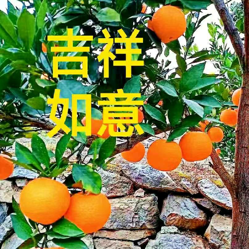 吉祥如意