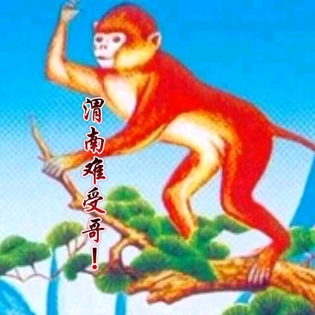 渭南难受哥！