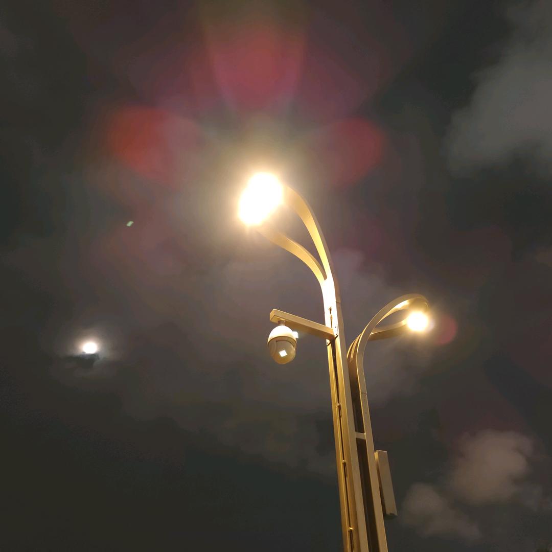 王老师