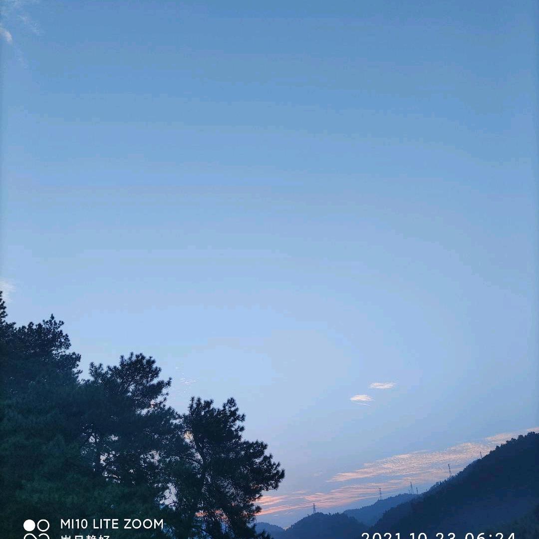 开花的西瓜