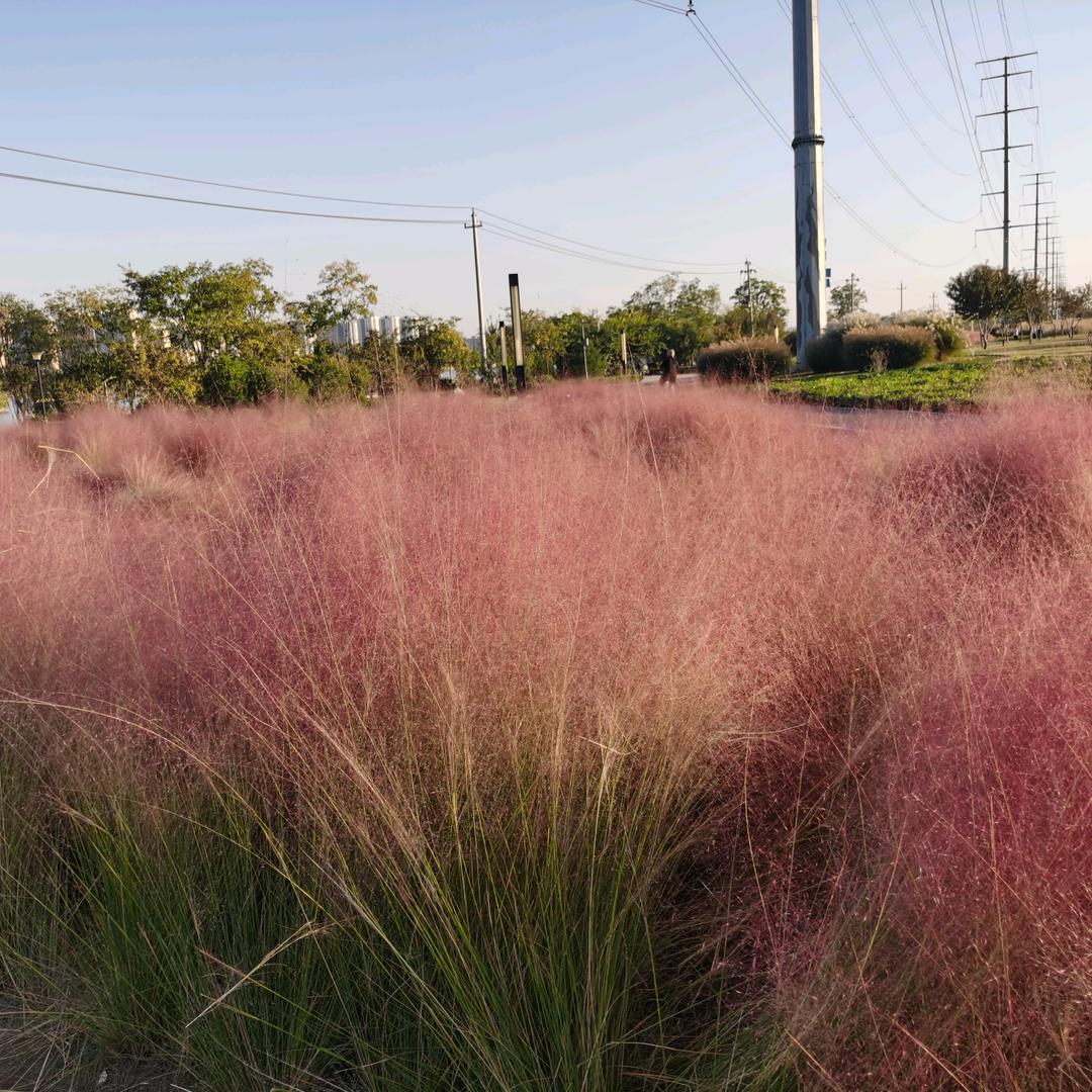 濮阳直达江浙沪大巴