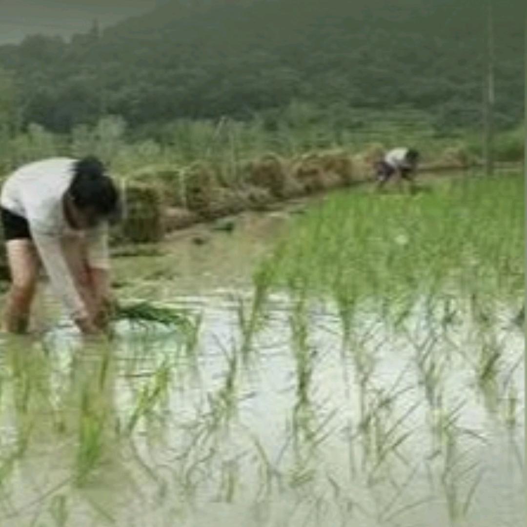 张家界向阳汽车服务廖玉英
