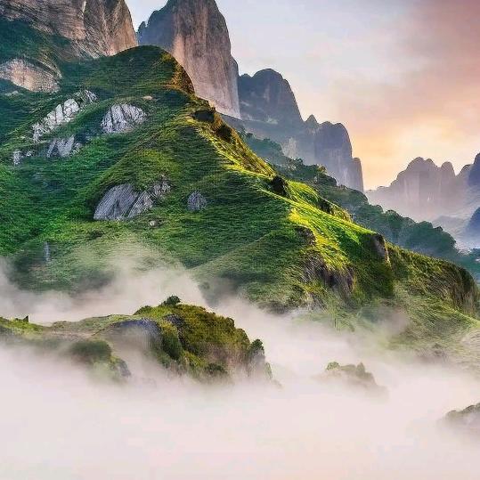 执～念