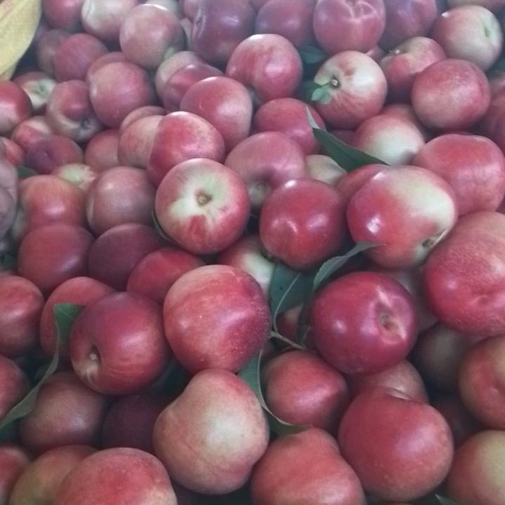 无公害水果