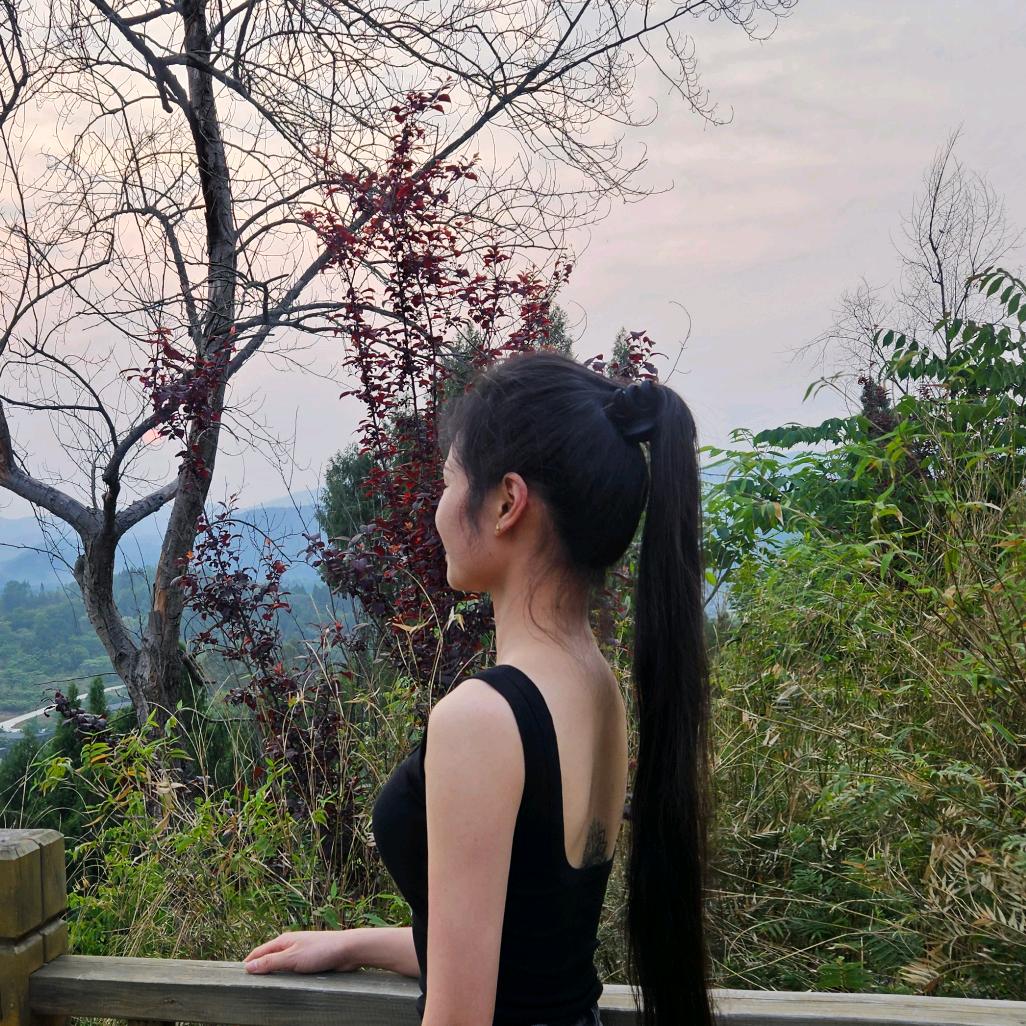 小燕子