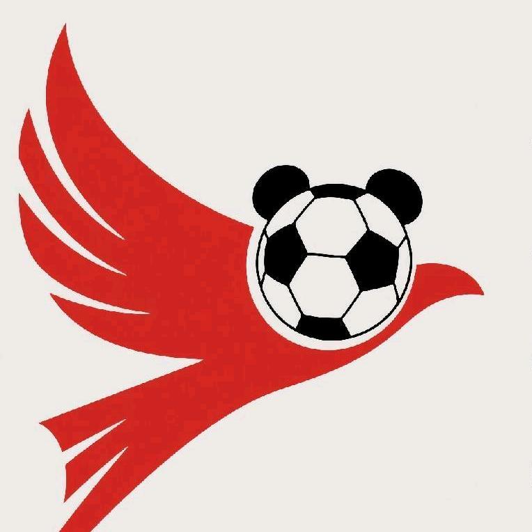 成都天府红翼潮玩