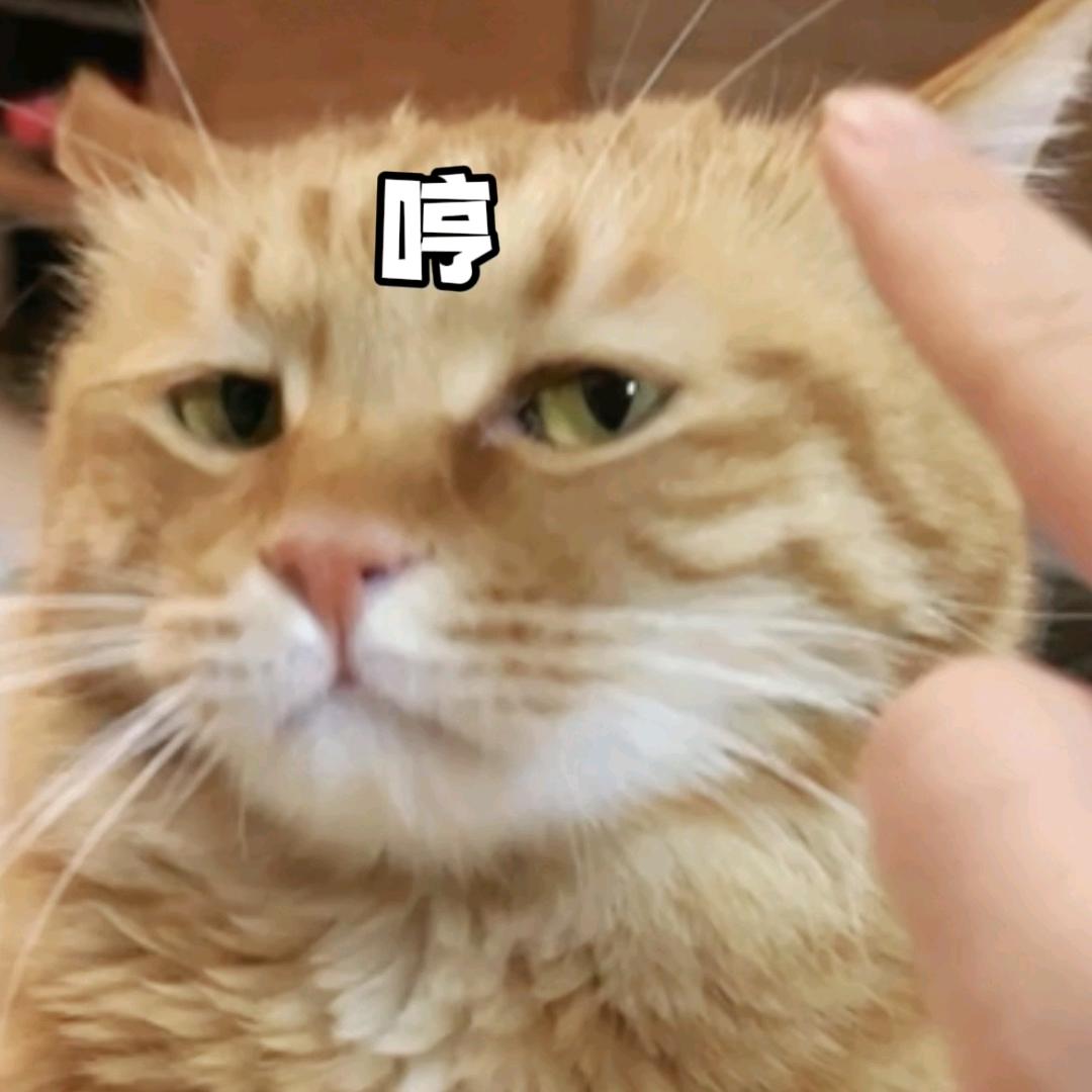 刘刘刘