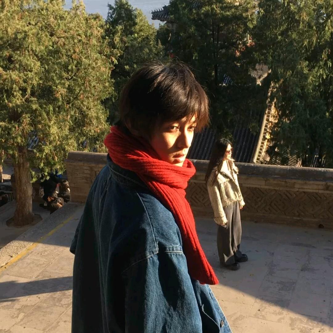 呆瓜不会飞