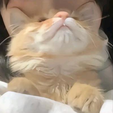 我在幼儿园混过社会