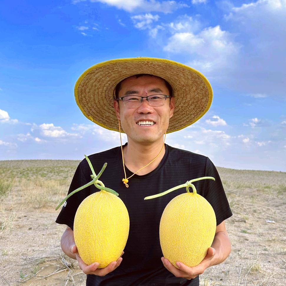 沙乡恋鲜果生鲜企业店
