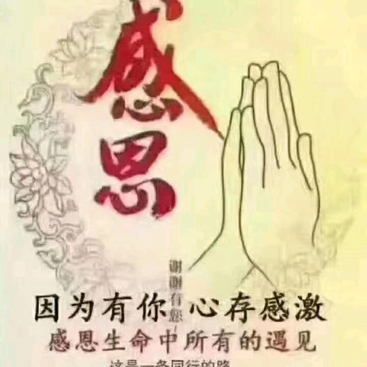 龙才创予教育咨询中心