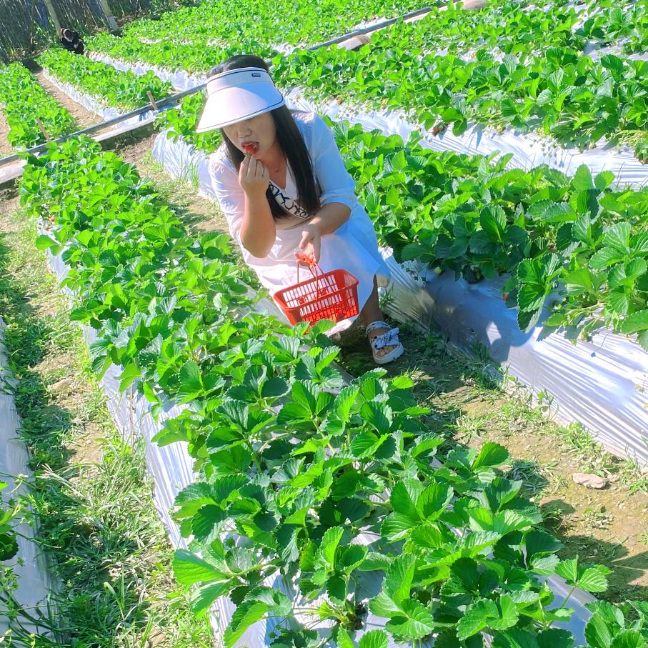 🦋ℒᎭℯ⃝关闭💞烦恼