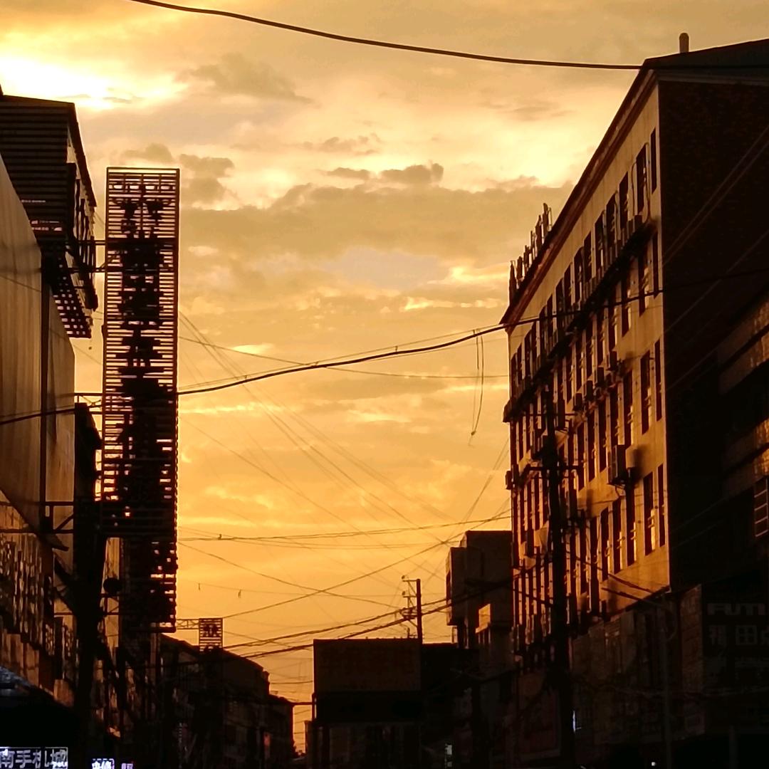 木游