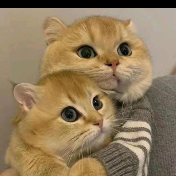 我的幸福在哪里