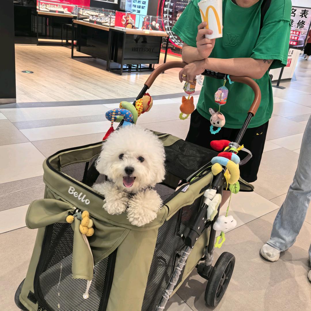 💫💞武个亿💞🐝✨