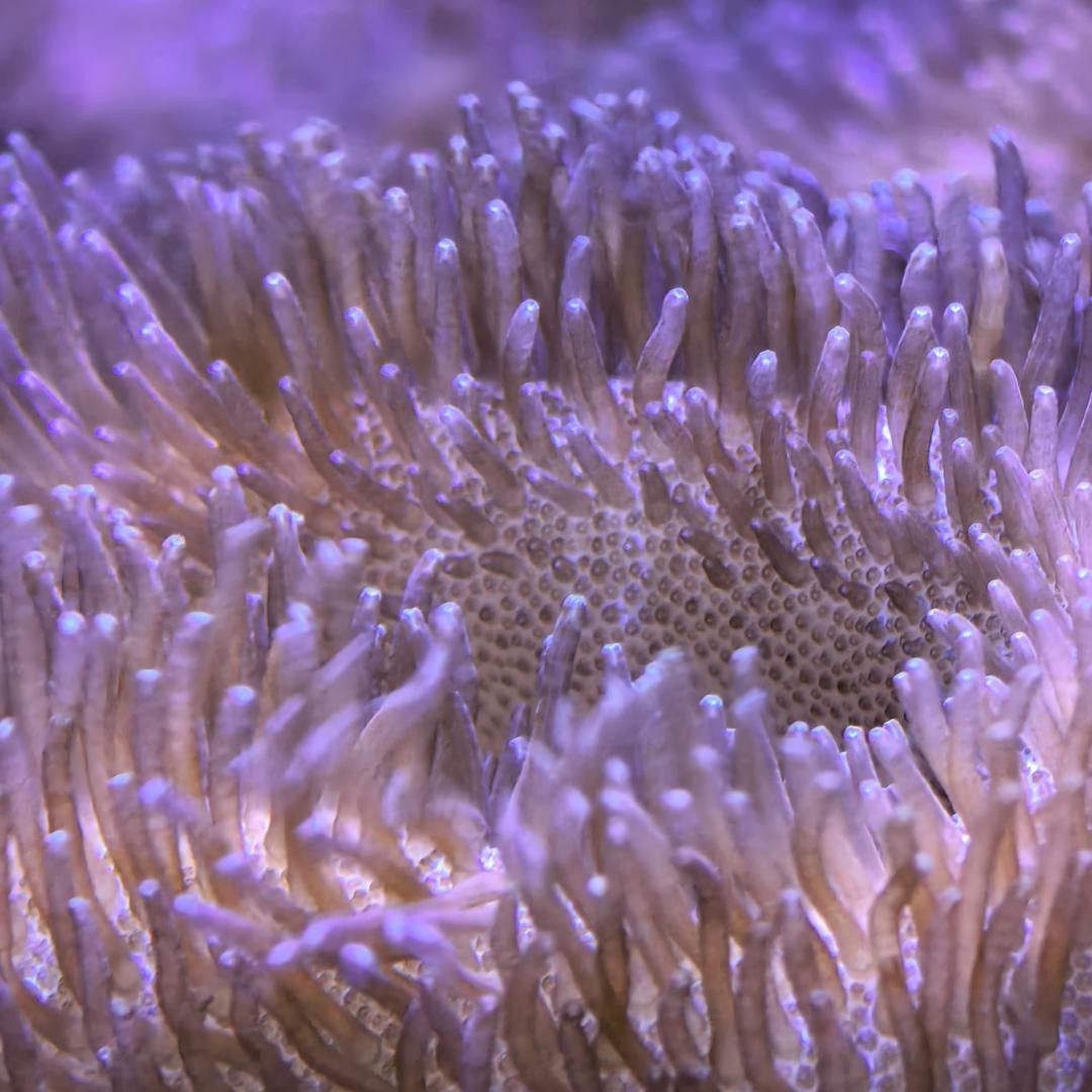 🌈随遇而安🌈