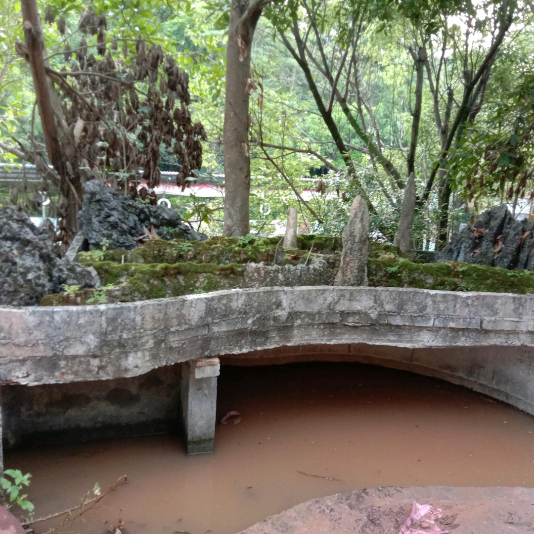 山水哥