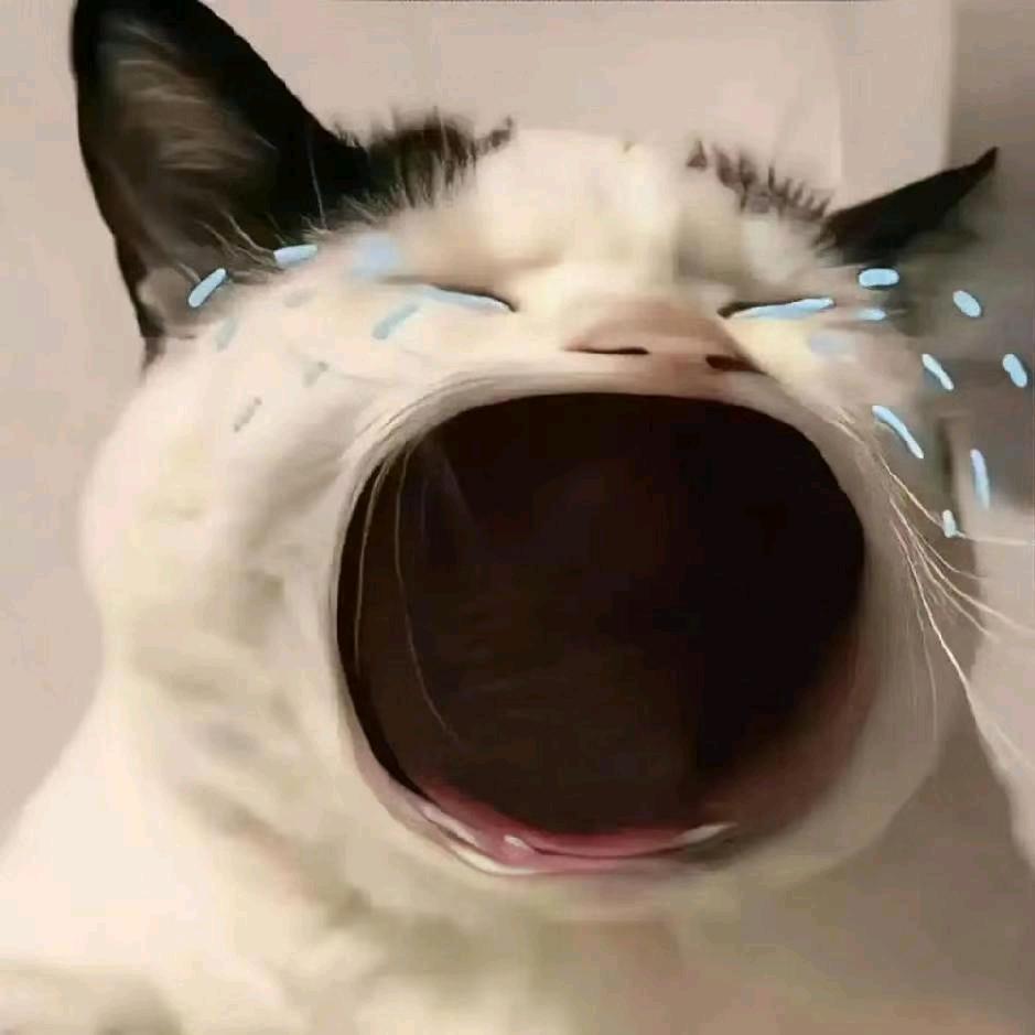 蕉大狼太王