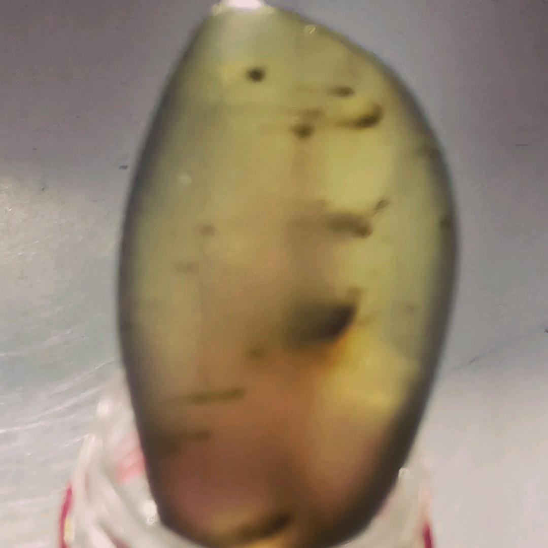 老吴新疆金丝玉