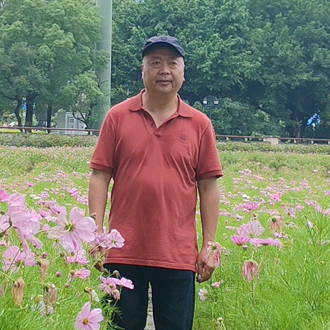 雄图伟略