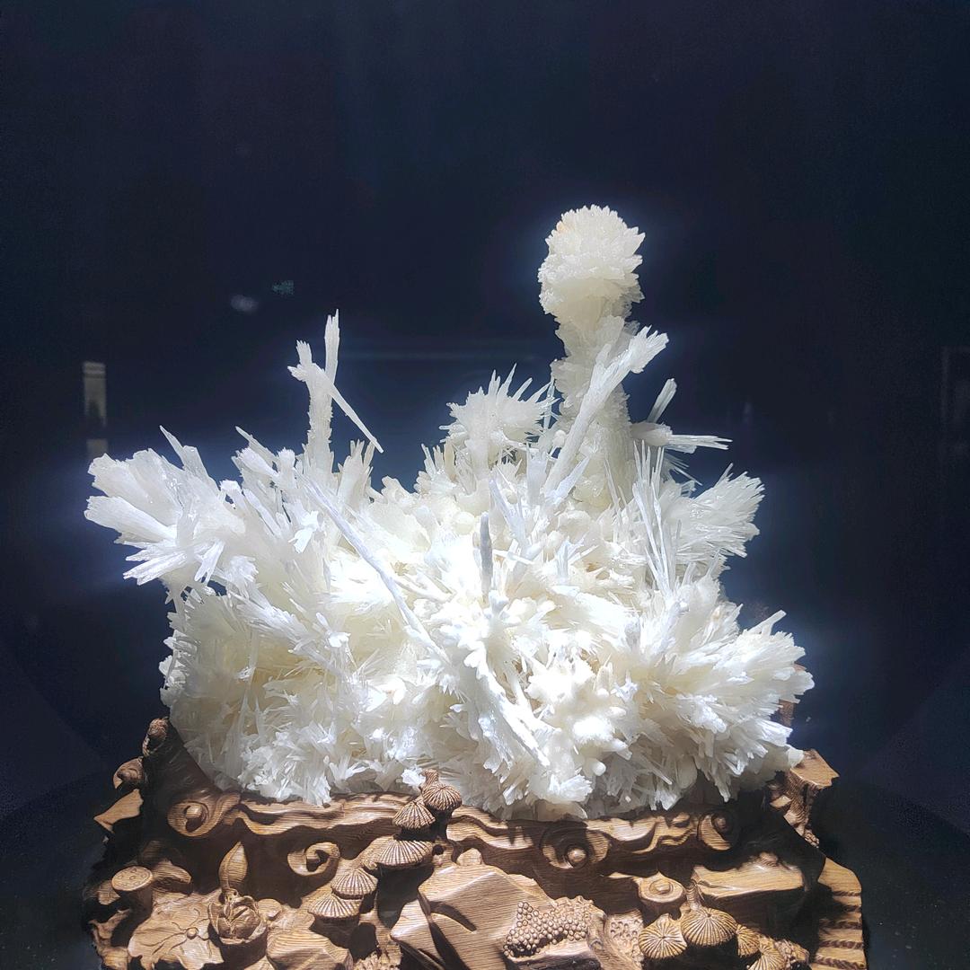 向钱冲
