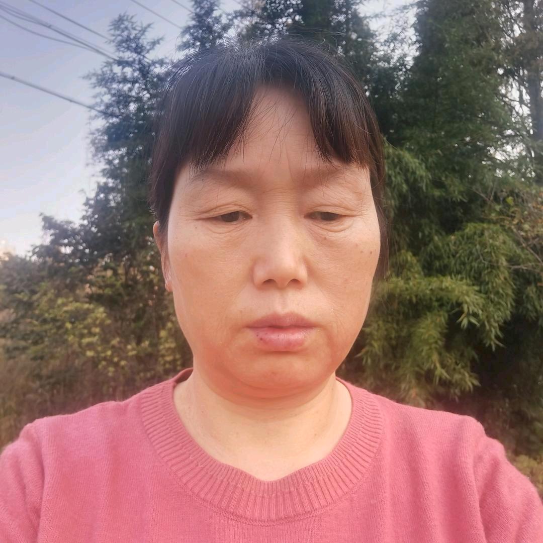 农村川梅