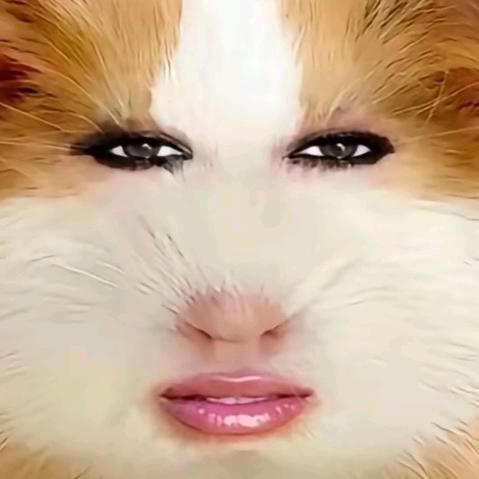 猪妞