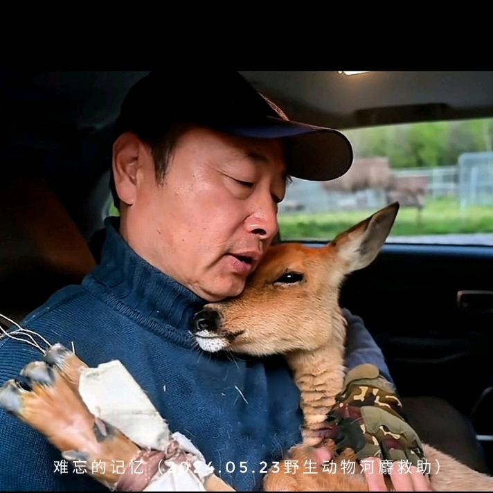 李德福（森林故事汇）