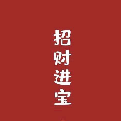猫咪