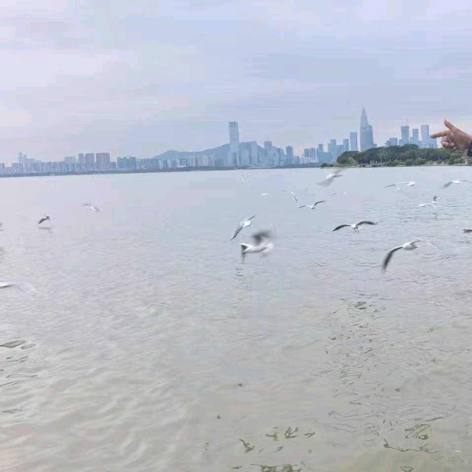 暮色年华