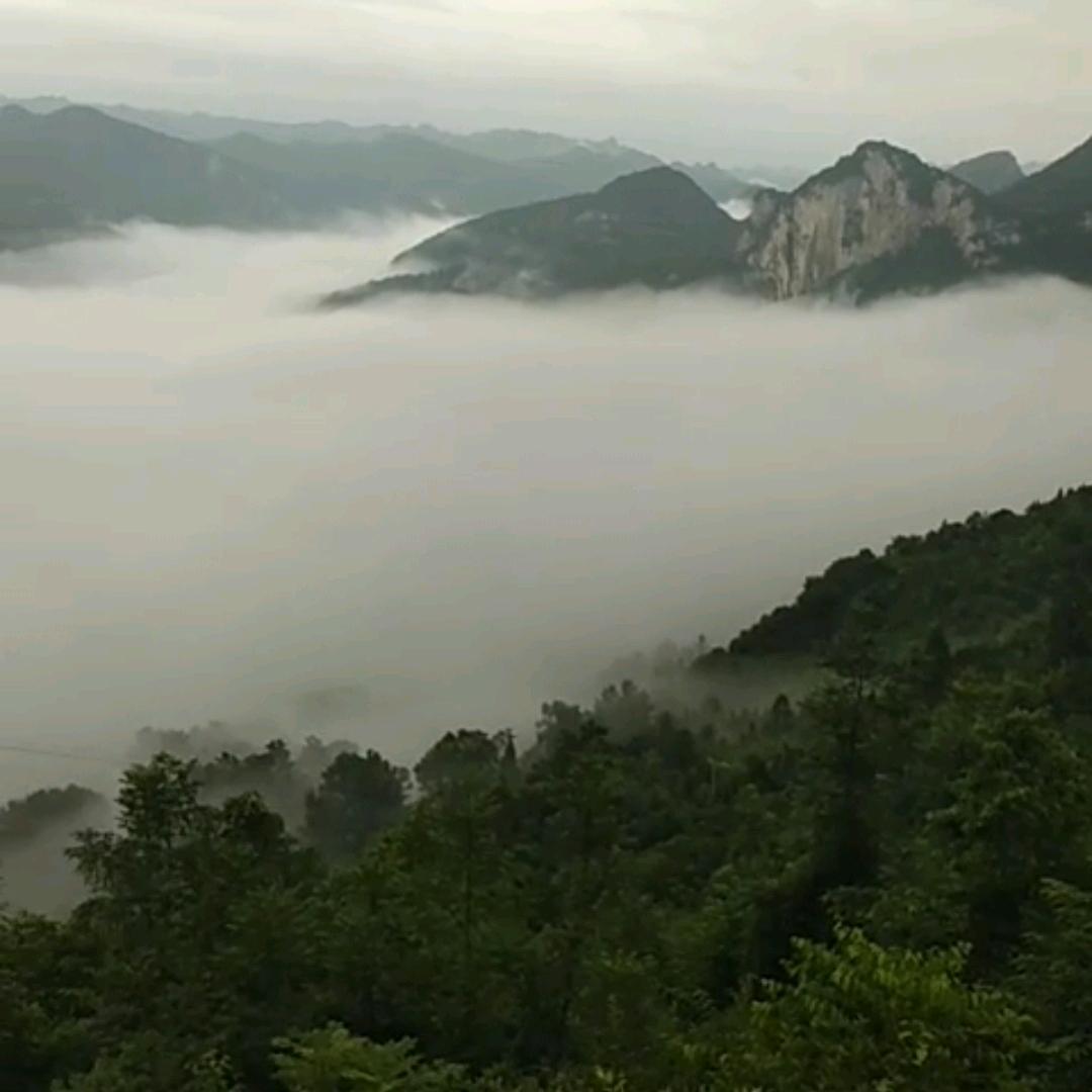 黔人百姓