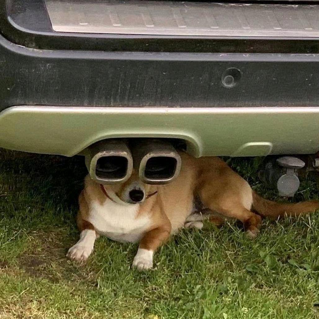 AAA不搞批发徐哥