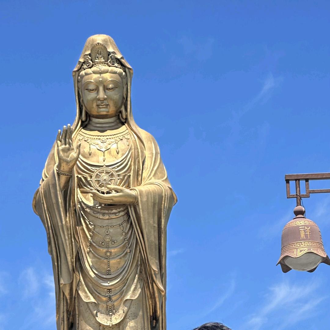 $时来运转￥