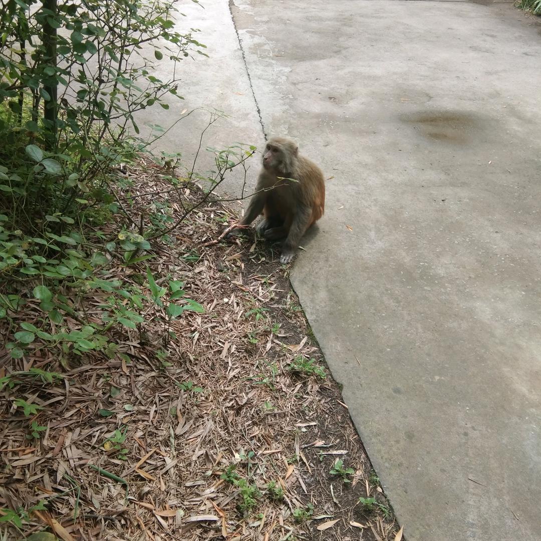 涪陵南门山萨玛驰   韦韦一笑