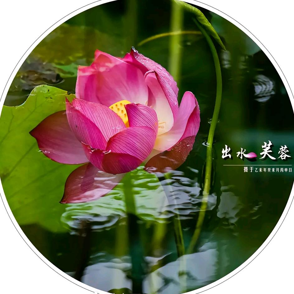 @千凡
