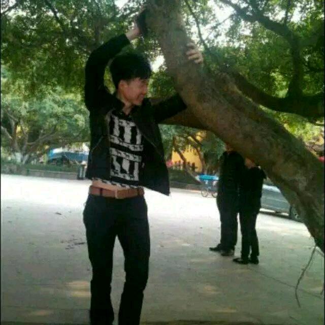大象爱唱歌