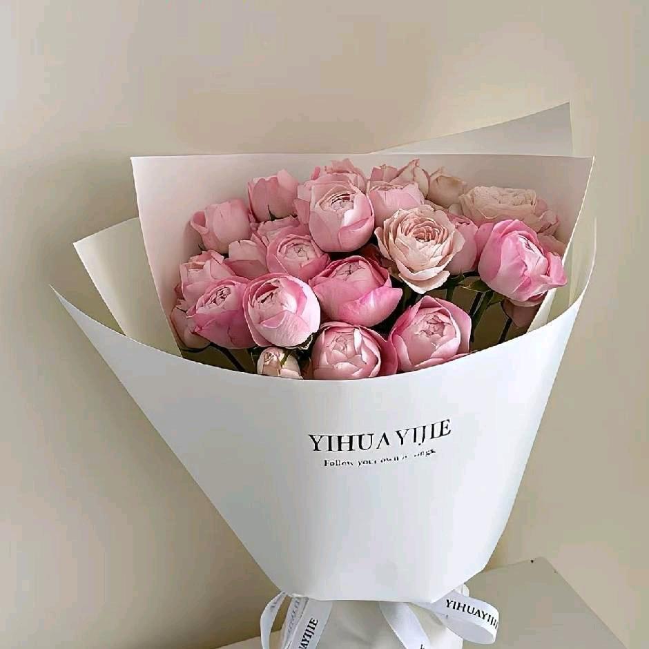 ℳঞ听过 ꦿ遗憾吗꧔ꦿ᭄💕