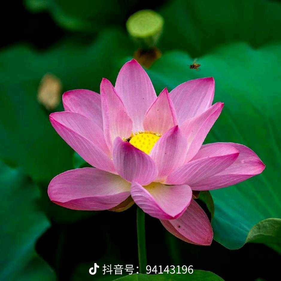 不知道