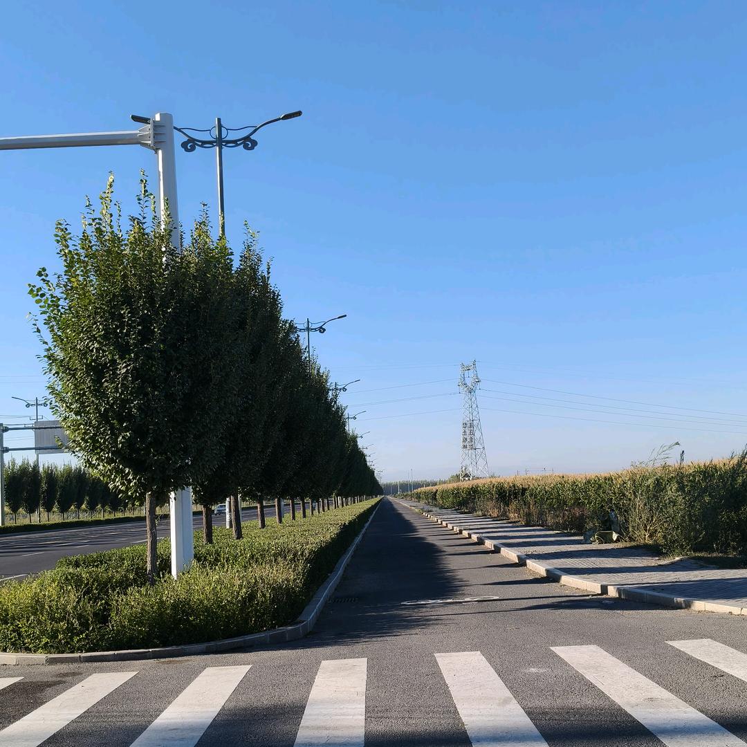 人潮拥挤别丢了自己