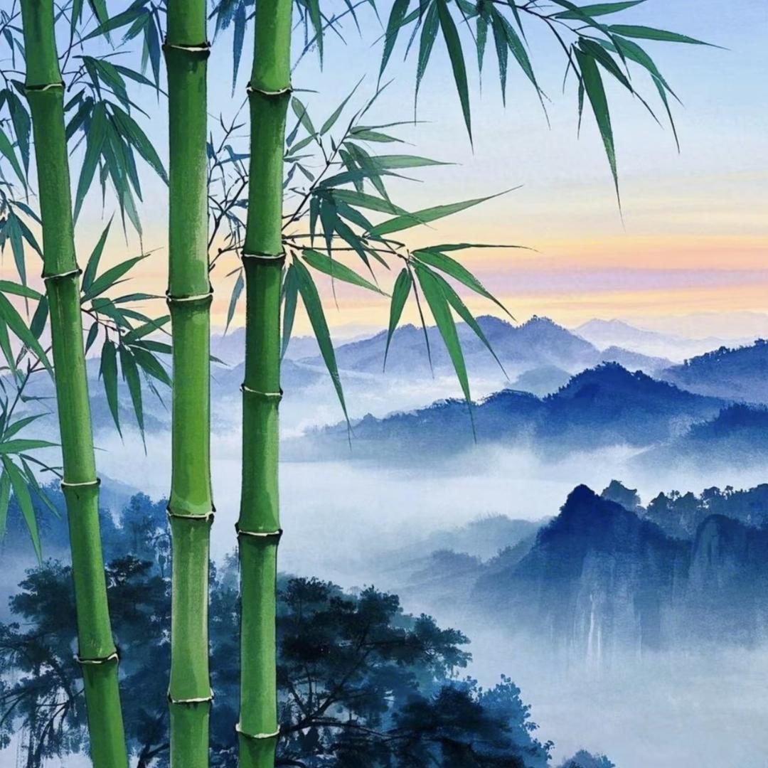 诚挚🌷🌷（CZH）