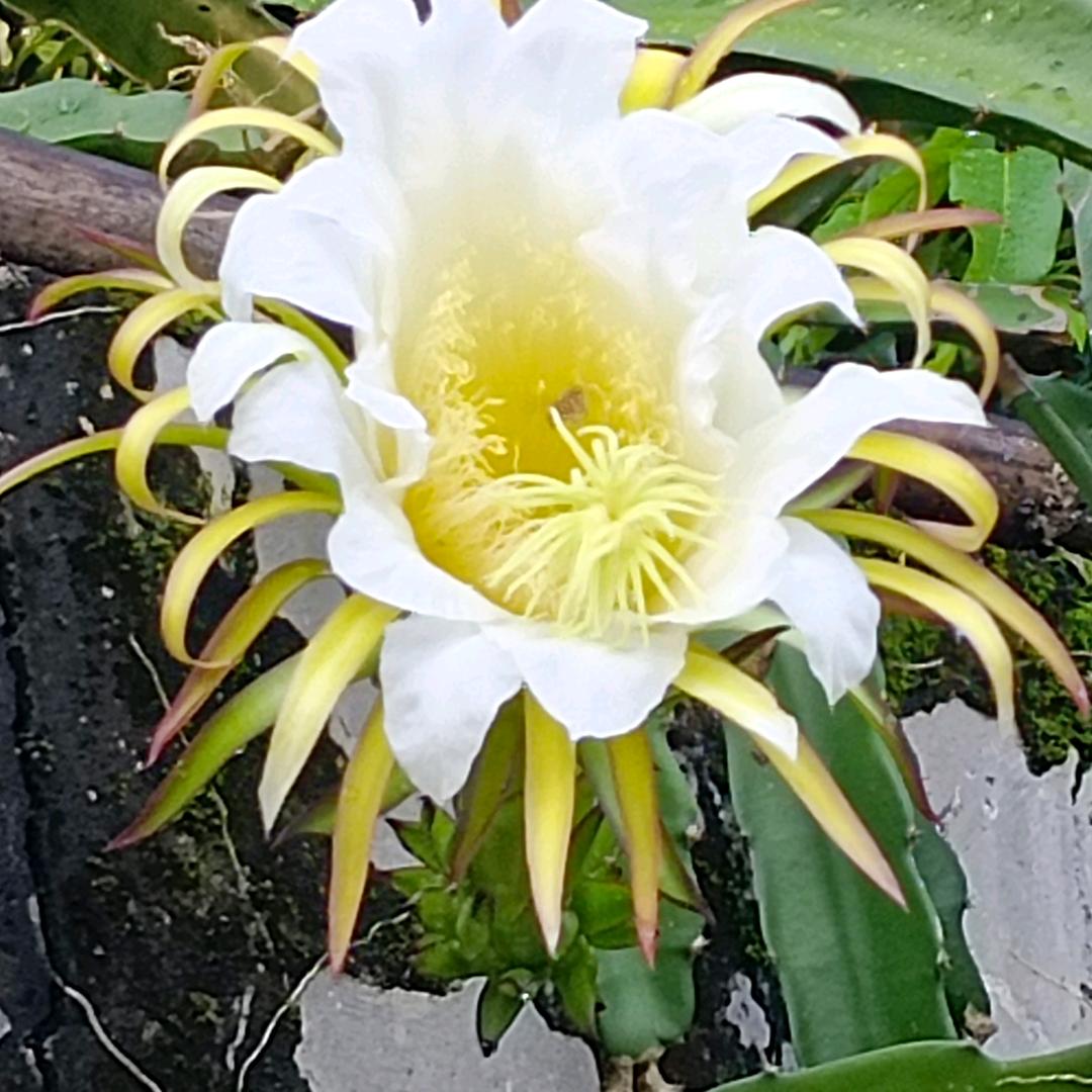 💕杨家້໌ᮩ💗姑娘༽ꦿ₁ᵌ₁⁴