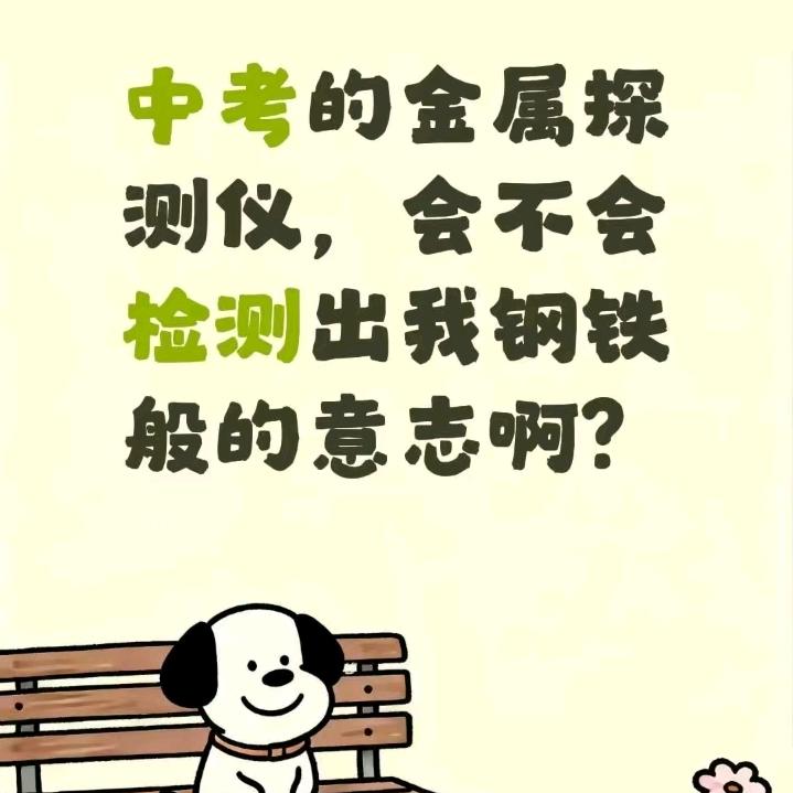 闪电⚡狐尼克头像