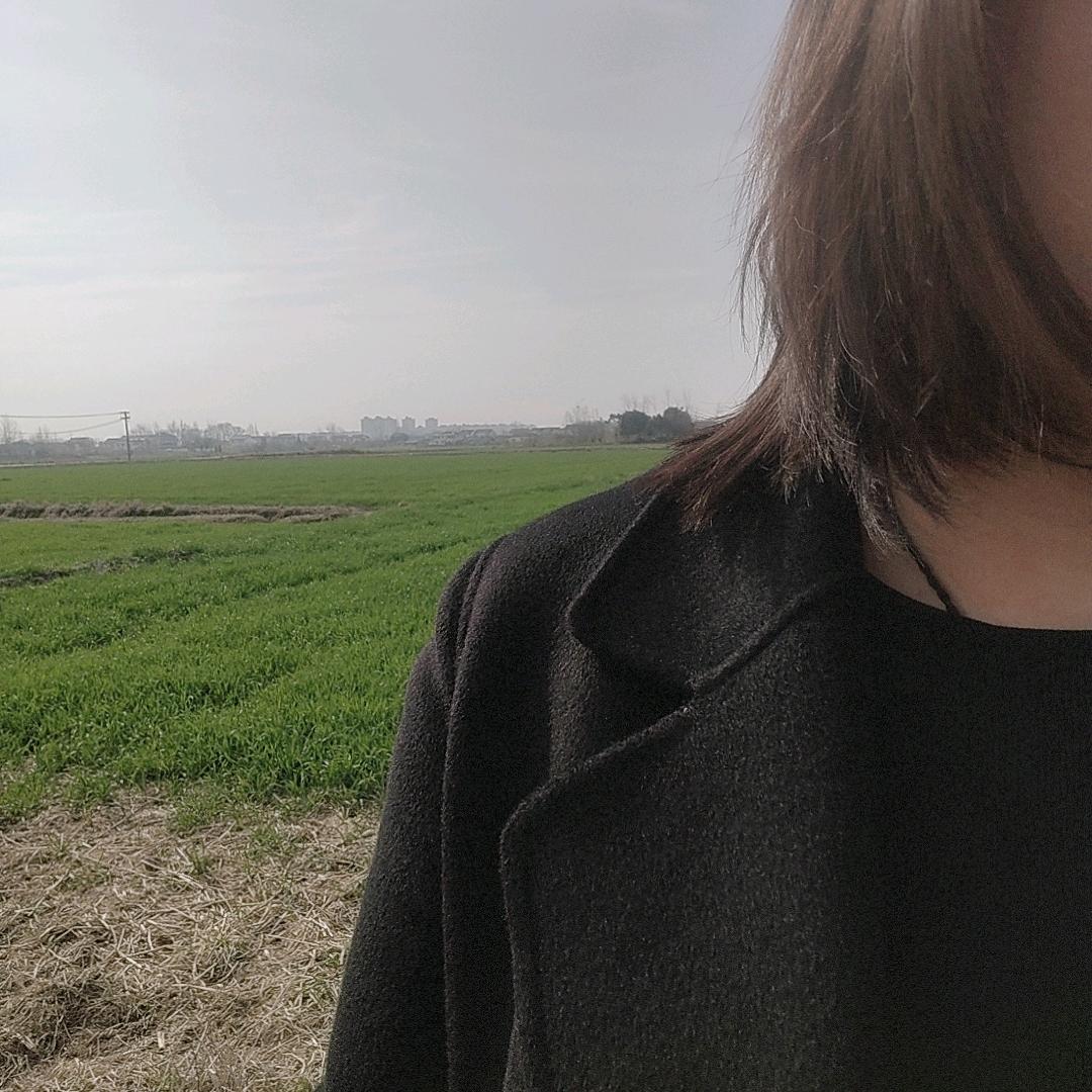 桃梨橙柿